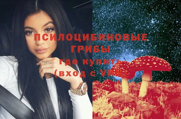 первитин Каменногорск