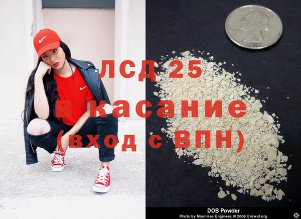 стафф Инта