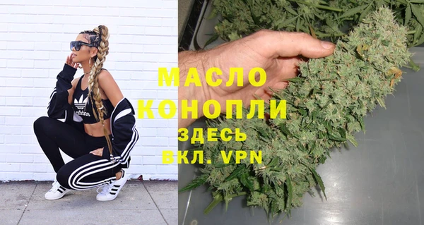 стафф Каменка