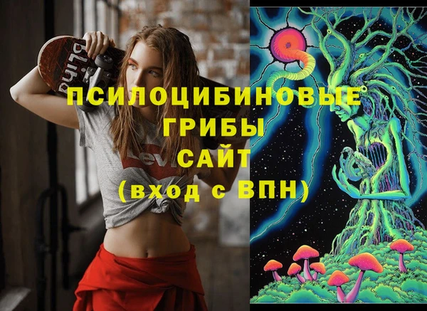 стафф Каменка