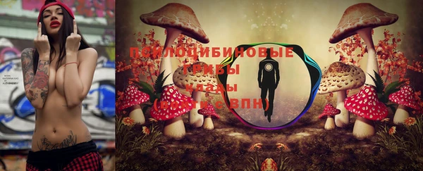 стафф Каменка