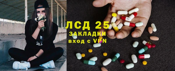 стафф Инта