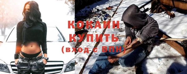 стафф Каменка