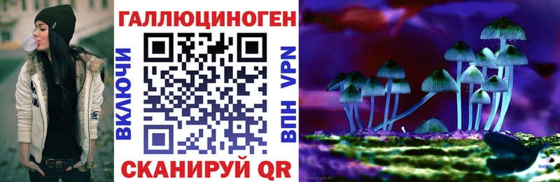 Купить где  Кондопога  Галлюциногенные грибы Magic Shrooms 